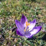 Mehr über den Artikel erfahren Osterspaziergang