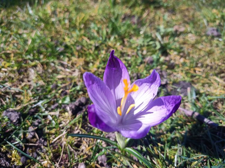 Mehr über den Artikel erfahren Osterspaziergang